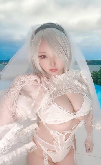 杀狼花电视剧全集40集免费观看_BD完整视频观看